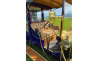 EVR264 : Renault CC 3.6 Litre Open Drive Limousine